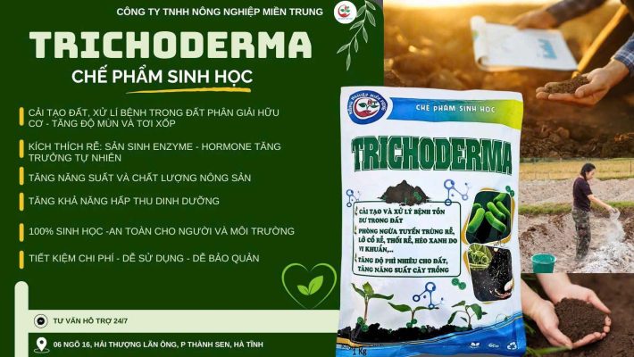 Trichoderma cải tạo đất