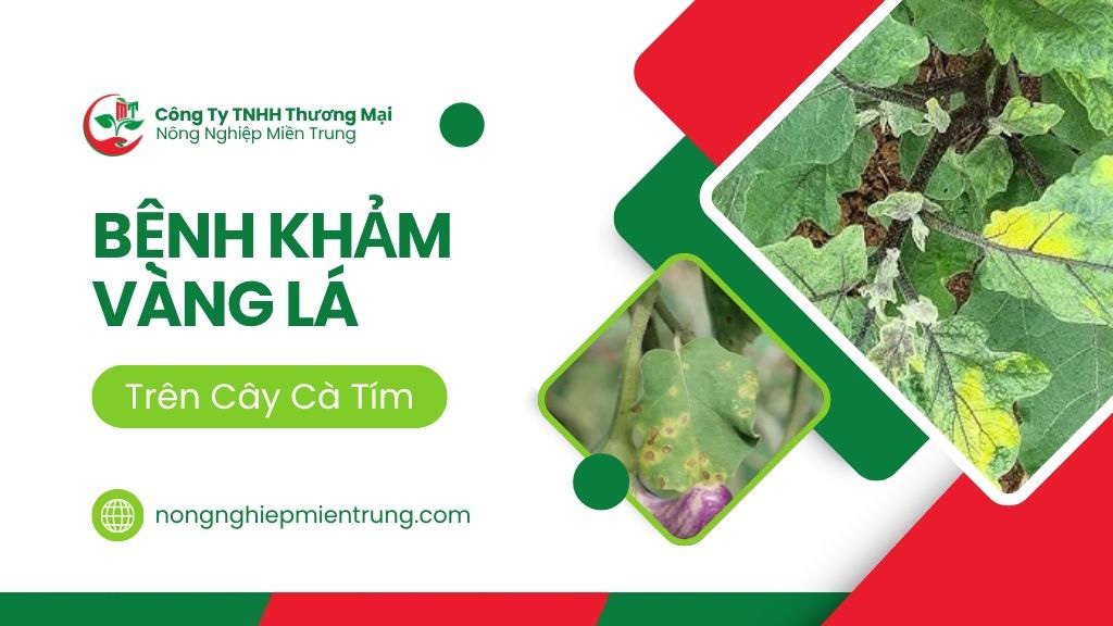 bệnh khảm vàng lá