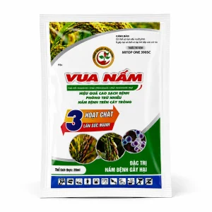 Vua nấm