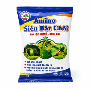 Amino siêu bật chồi
