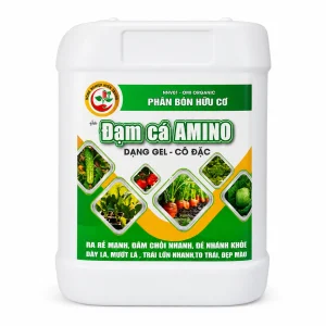 Đạm cá Amino