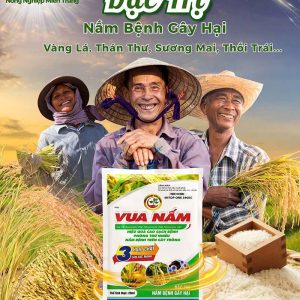 đặc trị nấm bệnh gây hại