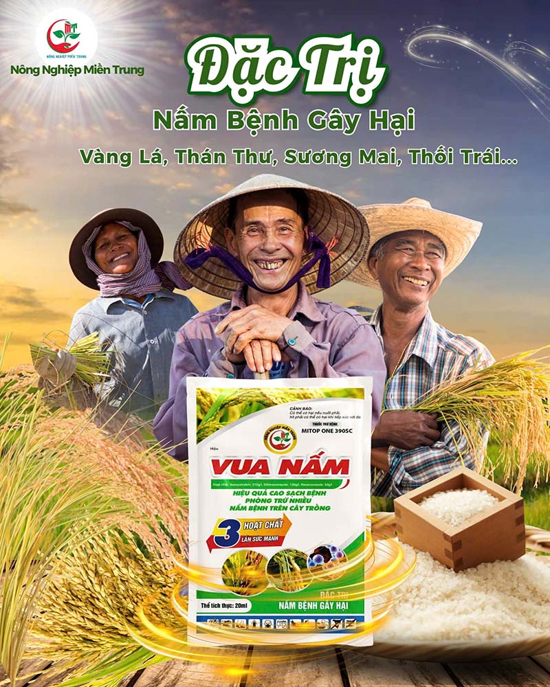 đặc trị nấm bệnh gây hại