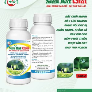 siêu bật chồi