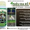 siêu ra rễ