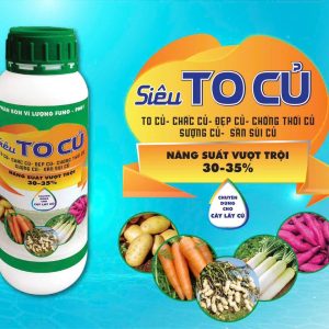 siêu to củ