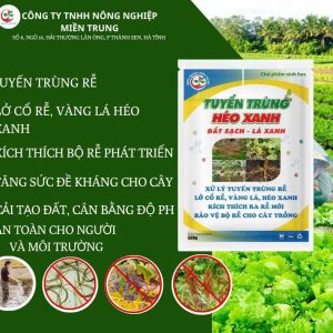 Tuyến trùng héo xanh