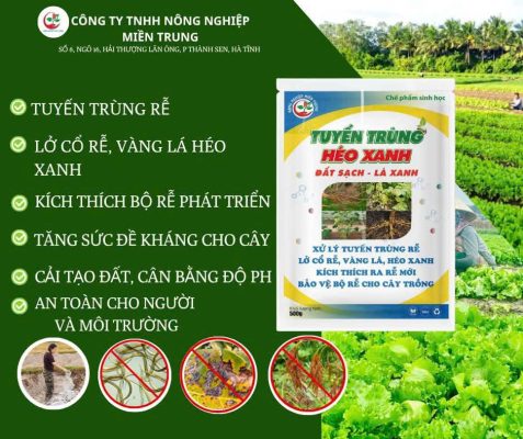 Tuyến trùng héo xanh