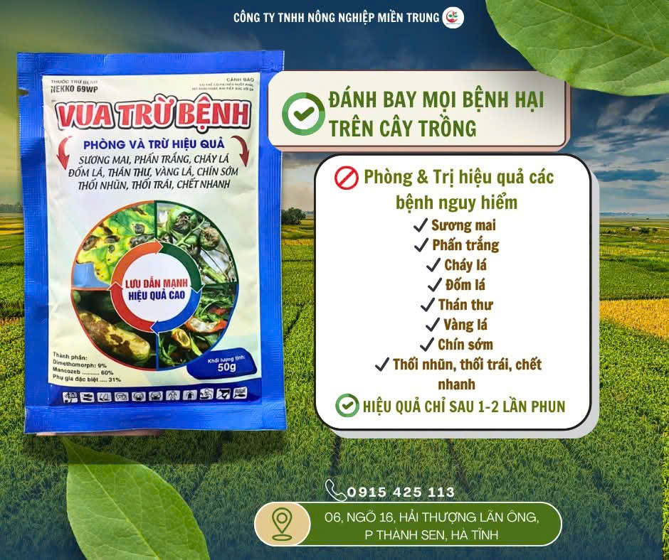 vua trừ bệnh