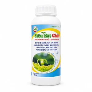 Siêu bật chồi