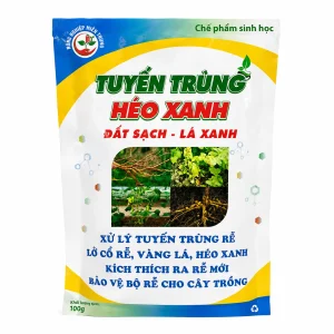 Tuyến trùng- Héo Xanh