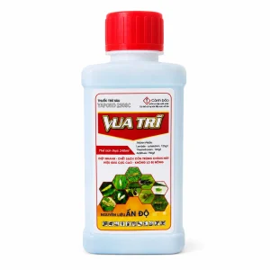 Vua Trĩ